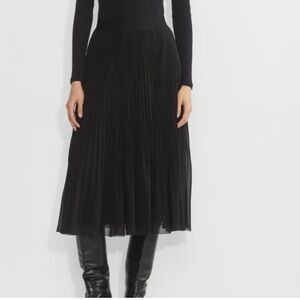 Aritzia / Wilfred Twirl Skirt